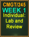 CMGT/245 Lab and Review